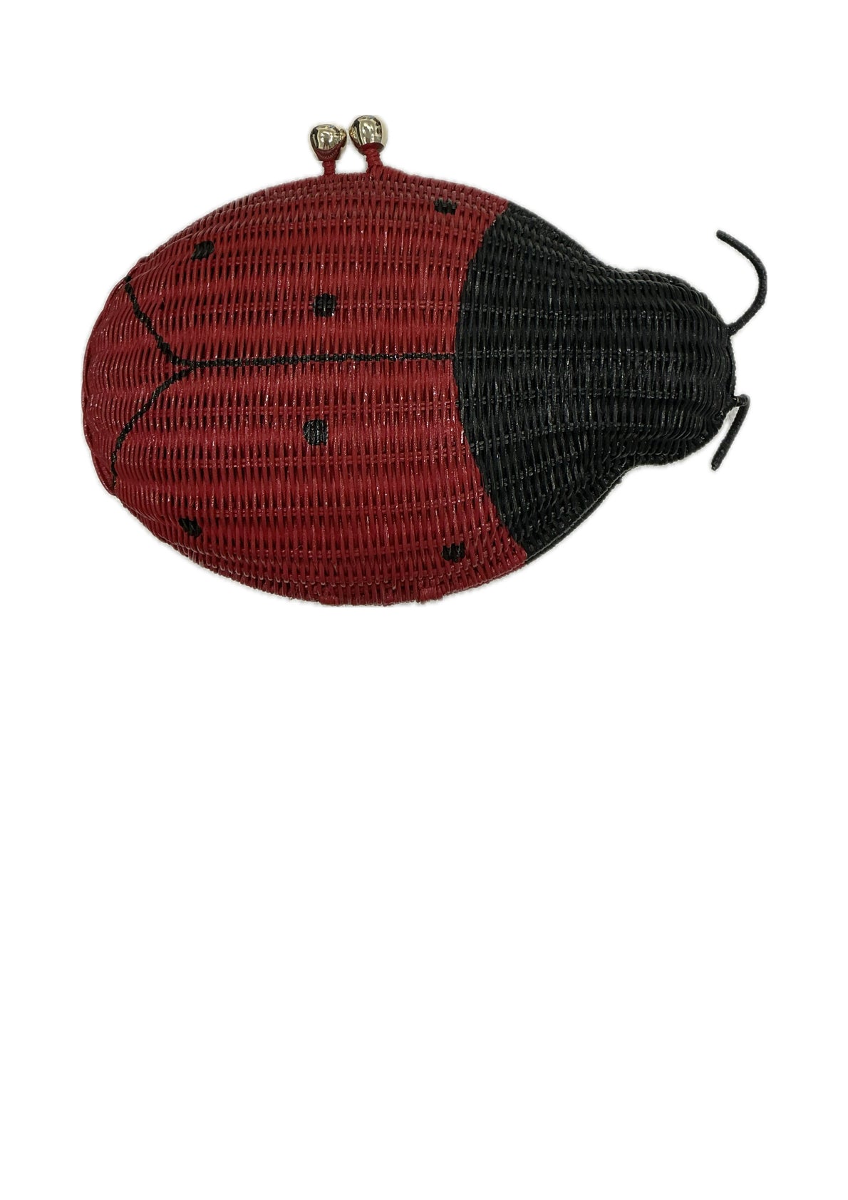 LadyBug Bag